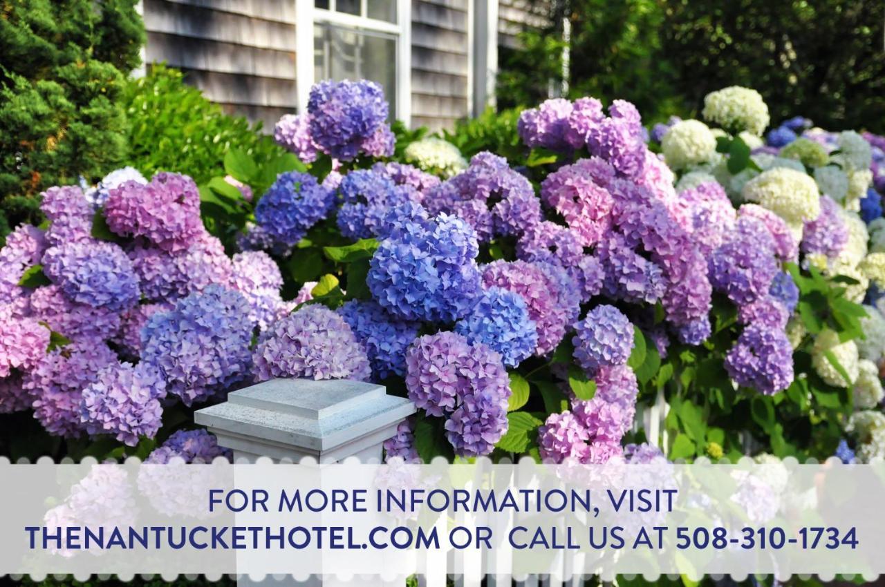 The Nantucket Hotel & Resort Zewnętrze zdjęcie